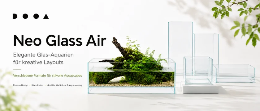 DOOA Neo Glass Air – elegante Glas-Aquarien für kreative Layouts
