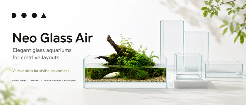 DOOA Neo Glass Air – Elegant Glass Aquariums for Creative Layouts