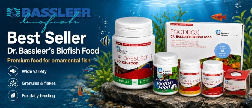 Dr. Bassleer Biofishfood – Premium Food for Ornamental Fish