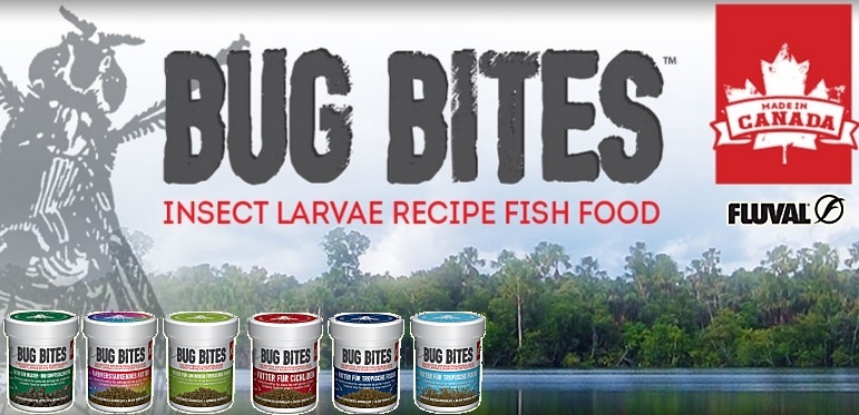 +++NEU Fluval Bug Bites+++