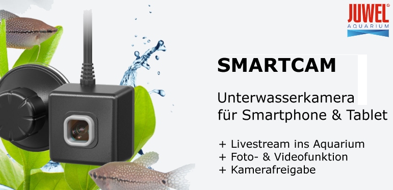 +++NEU JUWEL SmartCam Unterwasserkamera+++