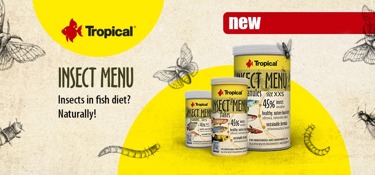 ++++NEW - Tropical Insect Menu++++