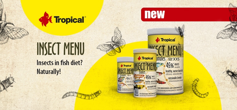 ++++NEU - Tropical Insect Menu++++