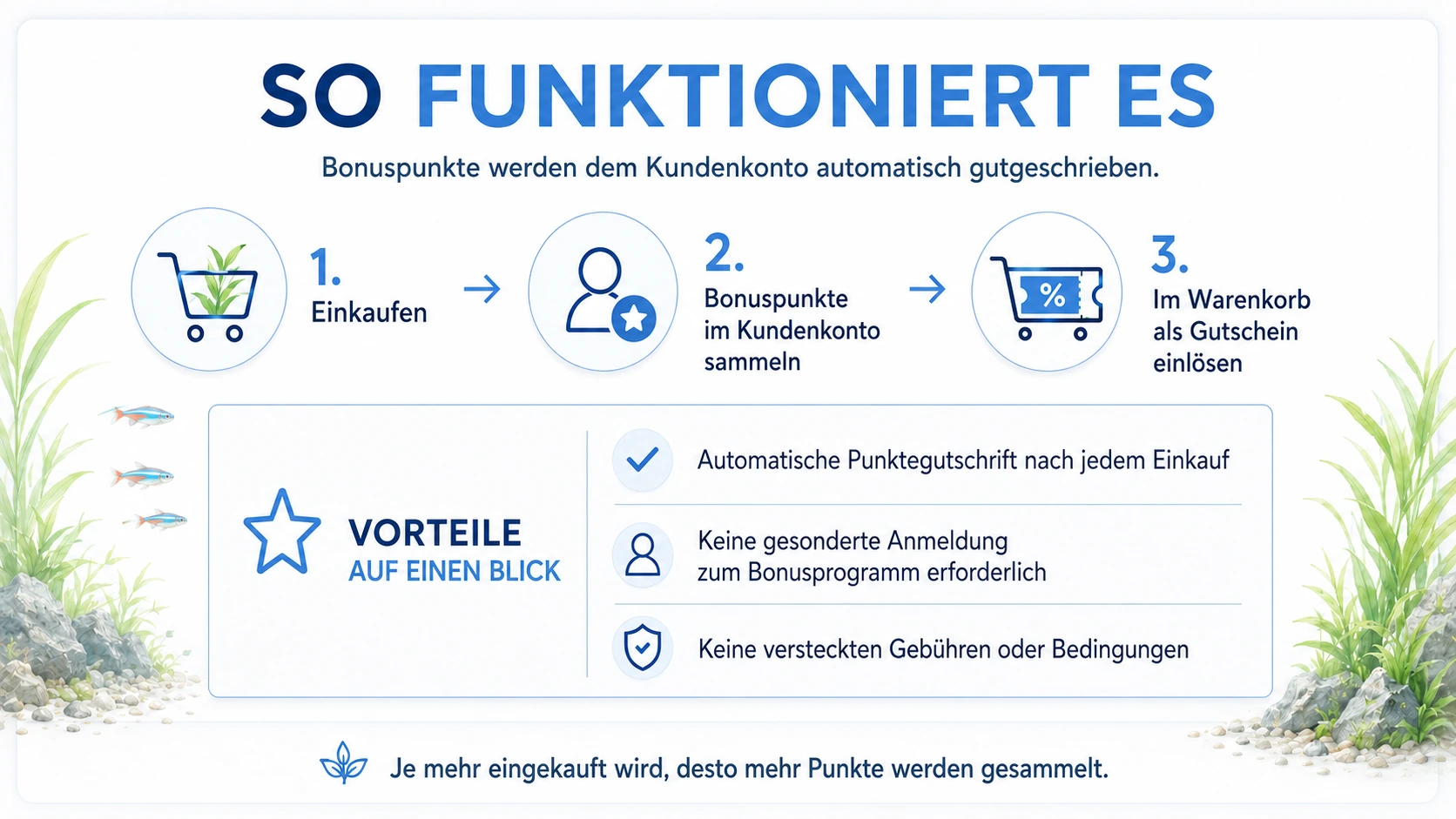 So funktioniert das Bonusprogramm