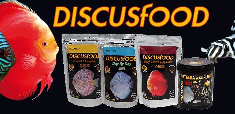 +NEU+++ Discusfood -Futtergranulate und -Pasten