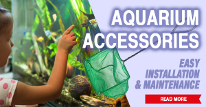 Aquarium Shop: 8.000+ Aquarium Supplies Online, Aquaristic Store