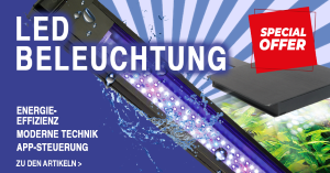Aquarium LED-Beleuchtung
