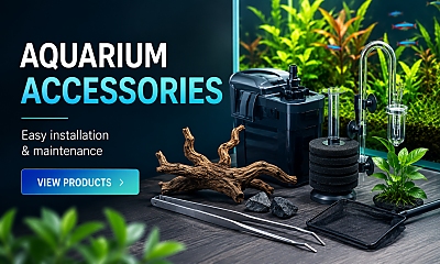 Aquarium Accessories