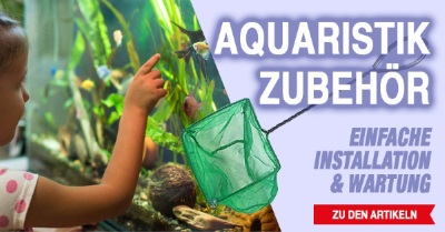 Aquarium accessories