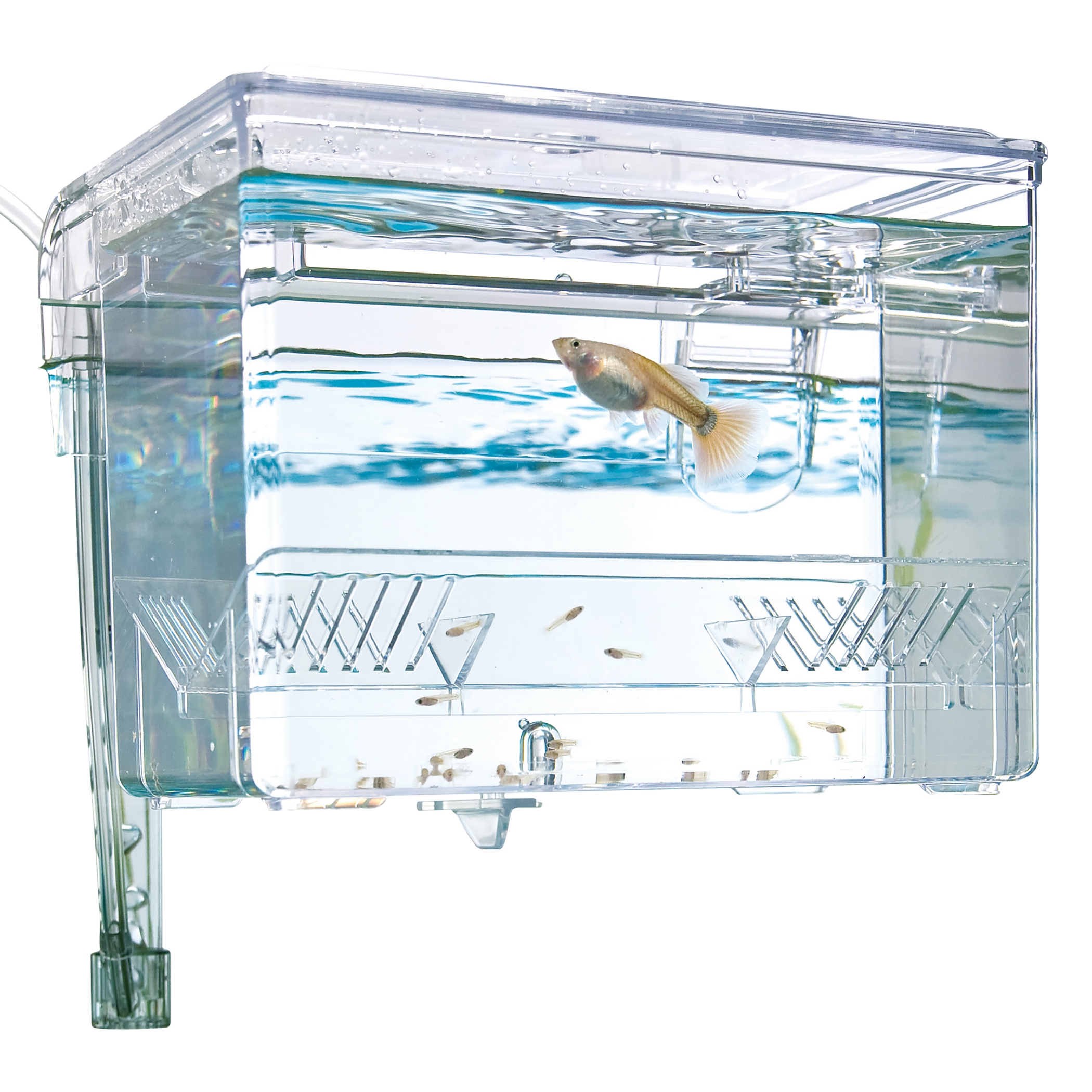 Spawning tools for fish breeding