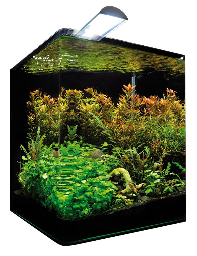 DENNERLE Nano Cube Complete+ 10 L nano-aquarium 20 x 20 x 25 cm