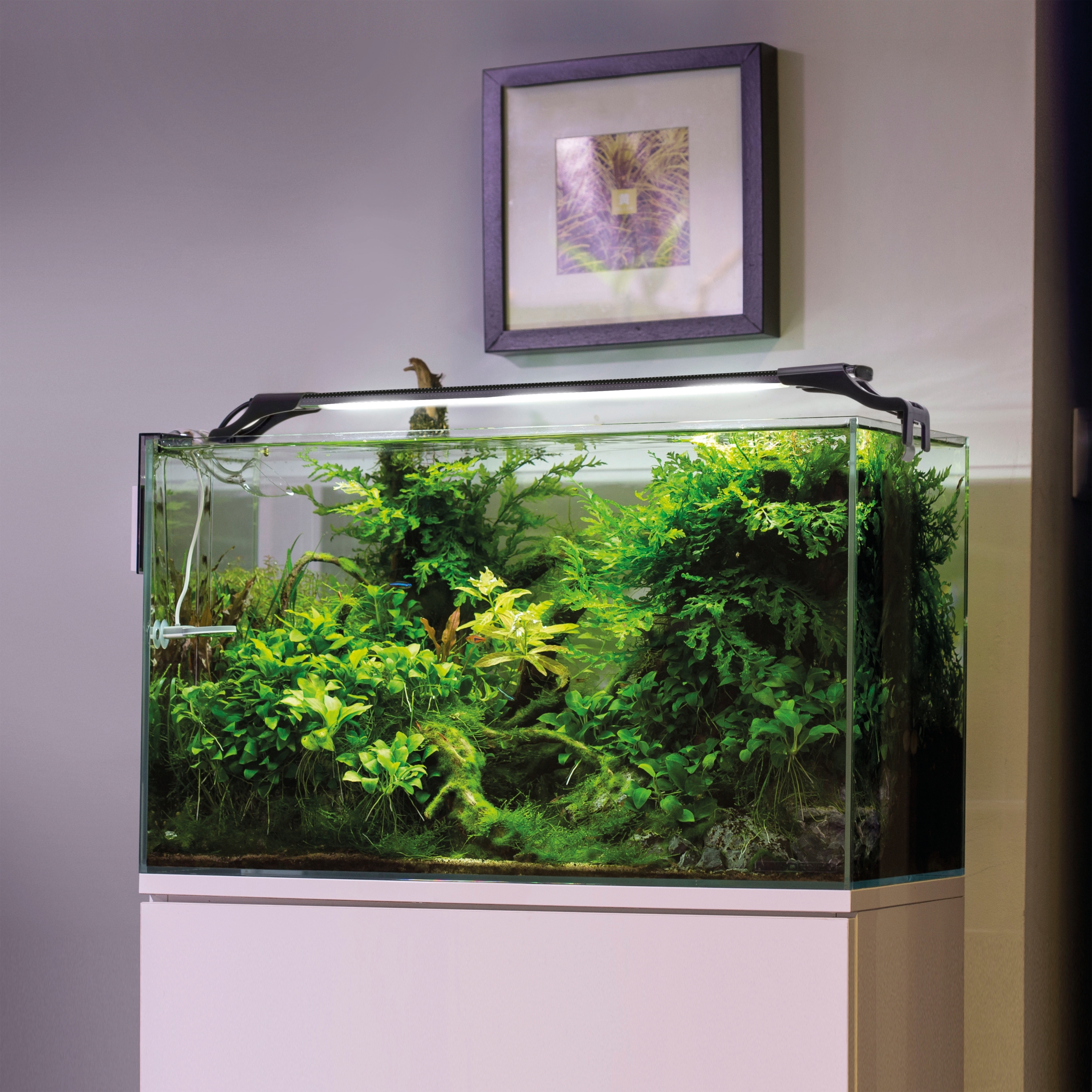 AQUAEL Leddy Slim Plant black