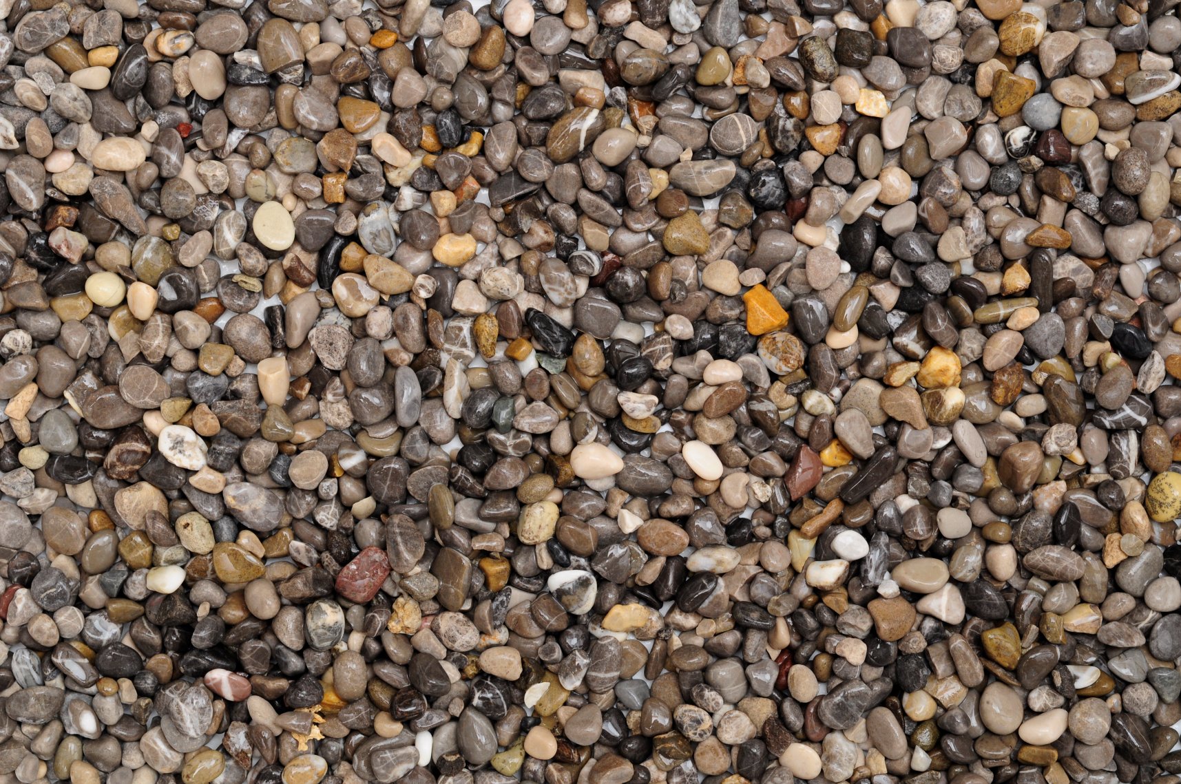 Αποτέλεσμα εικόνας για DENNERLE GRAVEL PLANTAHUNTER RIVER L 4-8 mm