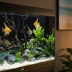 Juwel HeliaLux Spectrum 2.0 -full spectrum LED Lighting Unit-