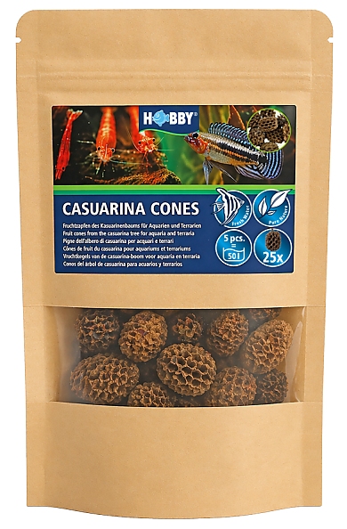 Hobby Casuarina Cones