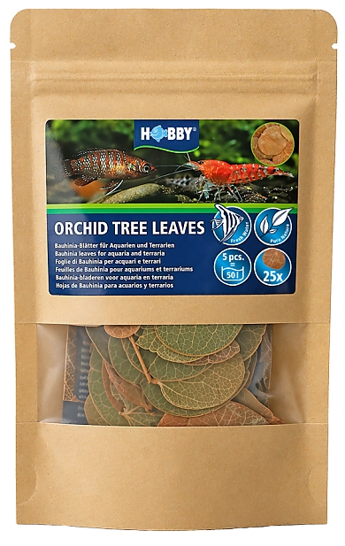 Hobby Orchid Tree Leaves