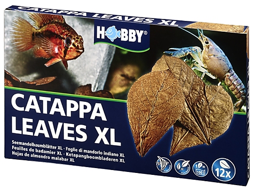 Hobby Catappa Leaves XL