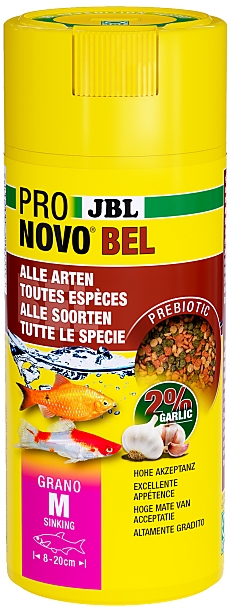JBL ProNovo Bel Grano M