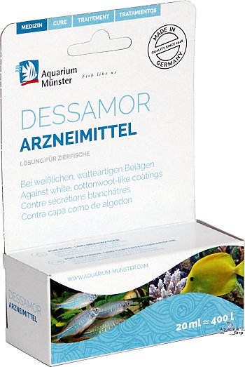 Aquarium Münster Dessamor