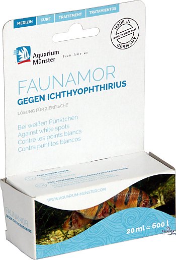 Aquarium Münster Faunamor