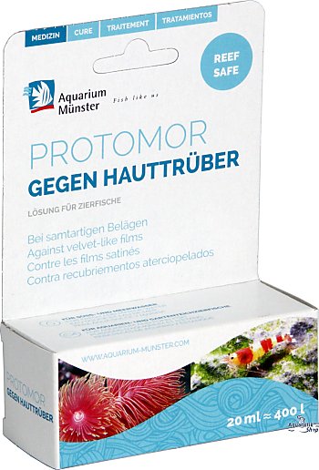 Aquarium Münster Protomor