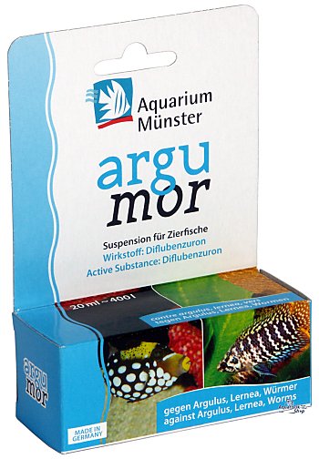Aquarium Münster Argumor