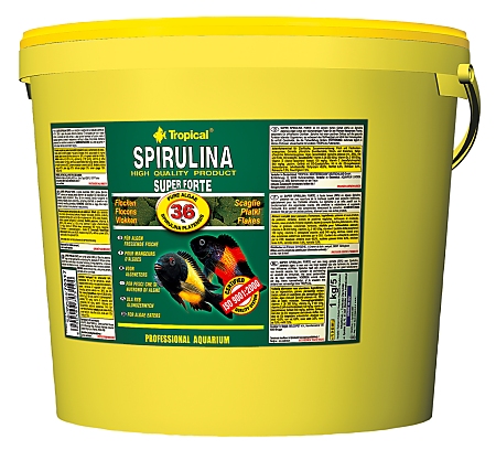 Tropical Super Spirulina Forte 36% 5.0 L