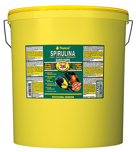 Tropical Super Spirulina Forte 36% 21.0 L