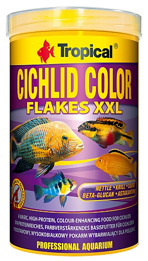 Tropical Cichlid Color XXL Size