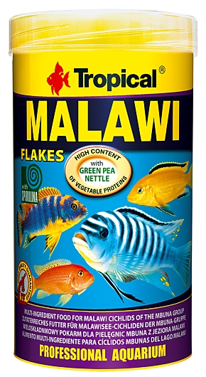 Tropical Malawi