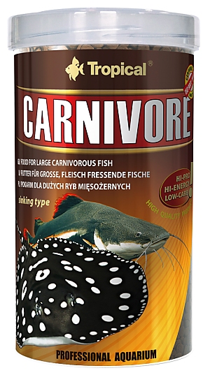 Tropical Carnivore