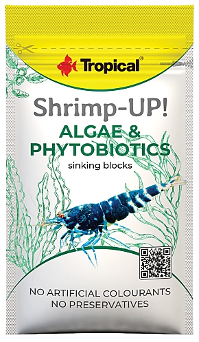 Tropical Shrimp-Up! Algae & Phytobiotics
