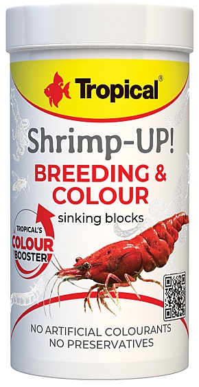 Tropical Shrimp-Up! Breeding & Colour Tropical Shrimp-Up! Breeding & Colour