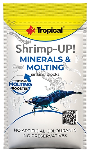Tropical Shrimp-Up! Minerals & Molting