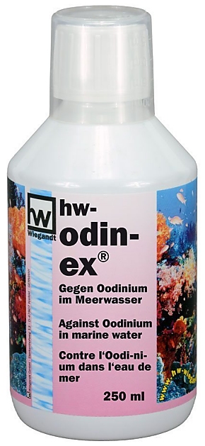 hw Odinex