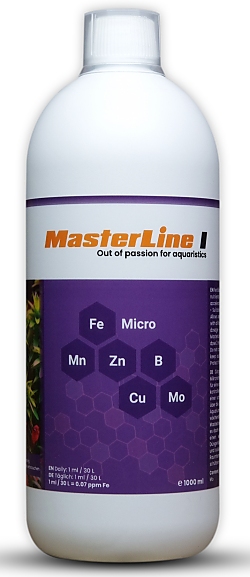 MasterLine I 1 L