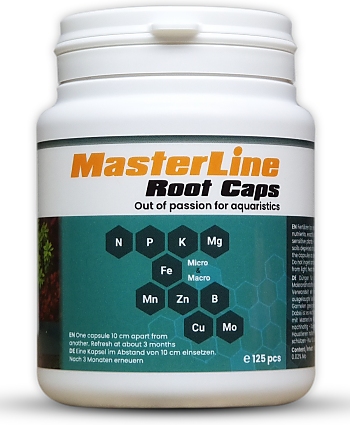MasterLine Root Caps 125 pcs