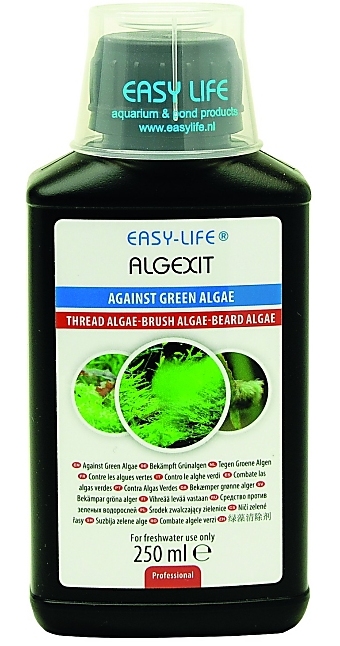 Easy-Life AlgExit