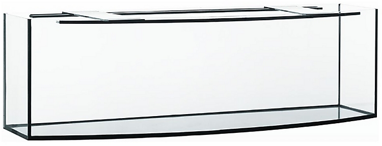 Aquarium with curved front glass 960 L