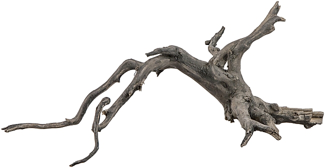 sera Scaper Root -Decoration Root- S 25-30 cm