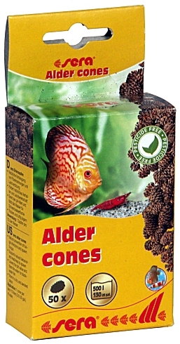 sera Alder cones -Erlenzapfen-