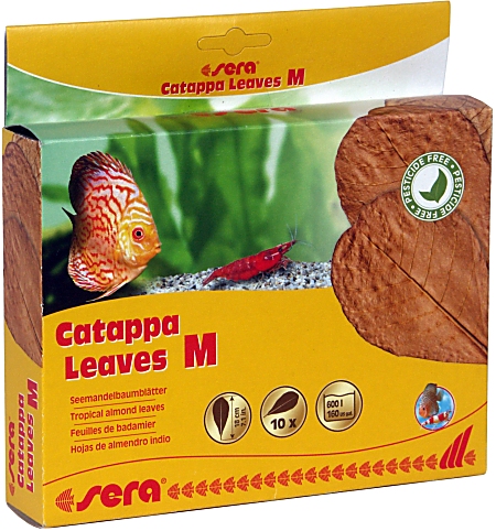 sera Catappa Leaves -Tropical almond leaves- M - 18 cm