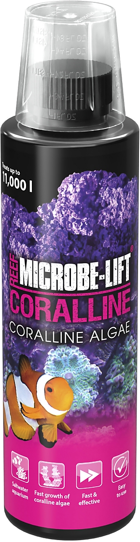 Microbe-Lift Corraline Algae Accelerator 236 ml