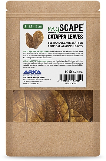 Arka mySCAPE Catappa Leaves S 12.5-16 cm