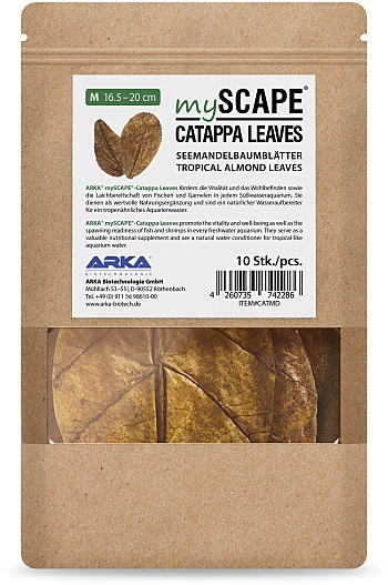 Arka mySCAPE Catappa Leaves M 16.5-20 cm