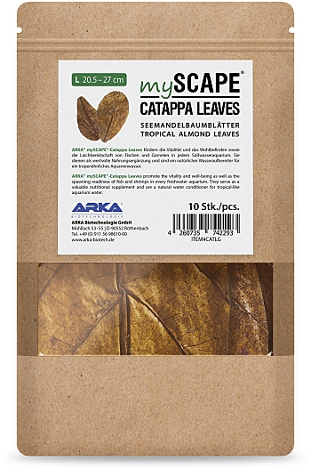 Arka mySCAPE Catappa Leaves L 20.5-27 cm