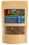 Hobby Casuarina Cones Hobby Casuarina Cones