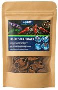 Hobby Jungle Star Flowers