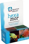 Aquarium Münster Hexamor Aquarium Münster Hexamor