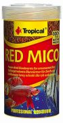 Tropical Red Mico